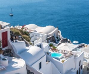An Unforgettable Summer with Workers Family